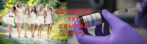 дживик Надым