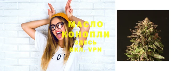 дживик Надым