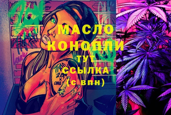 индика Волосово