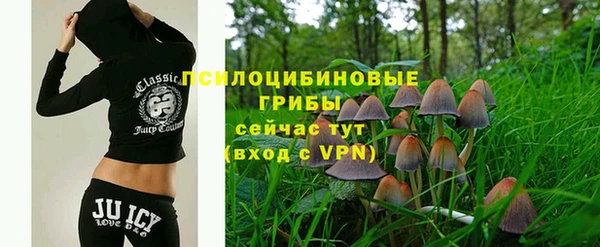 дживик Надым