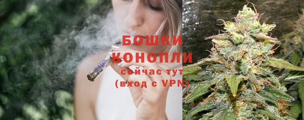 дживик Надым