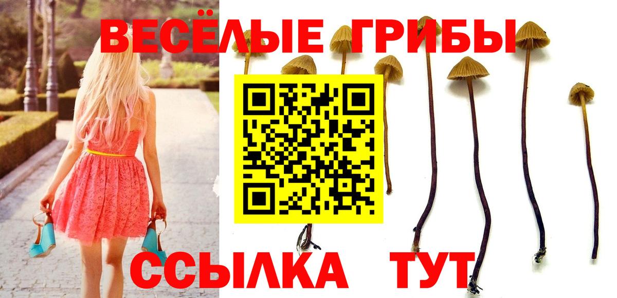 Псилоцибиновые грибы мухоморы Александров