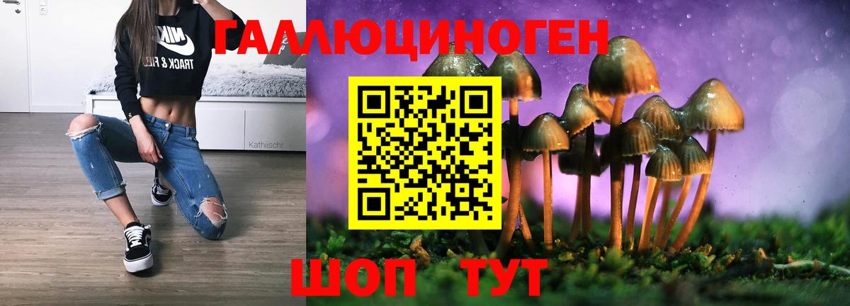 Псилоцибиновые грибы Magic Shrooms  наркошоп  Псилоцибиновые грибы ЛСД  Александров  Вход с VPN 