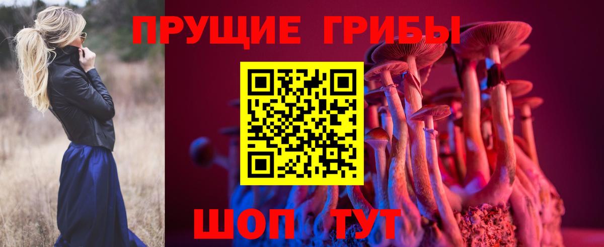 Галлюциногенные грибы Cubensis Александров
