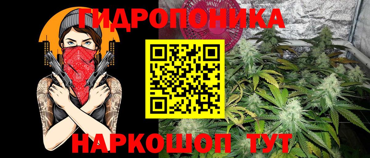 Бошки Шишки Александров